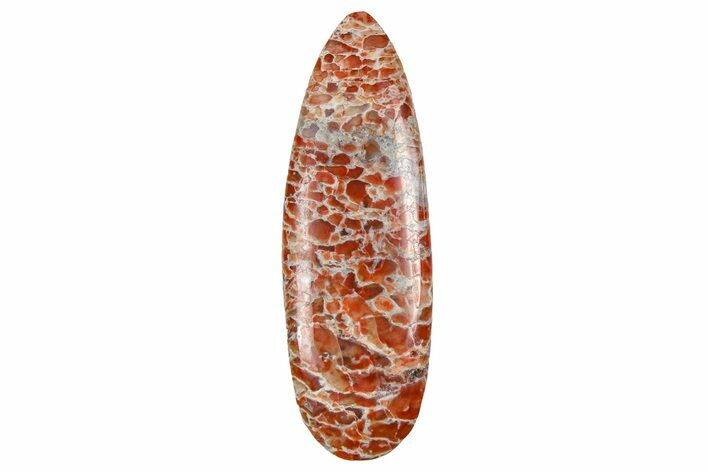 Polished Dinosaur Bone (Gembone) Cabochon - Colorado #370778